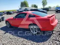 2005 Ford MUSTANG фото