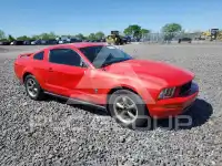 2005 Ford MUSTANG фото