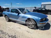 2005 Ford MUSTANG фото