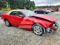 2005 Ford MUSTANG фото