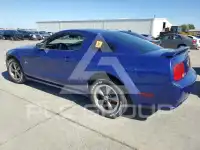 2005 Ford MUSTANG фото