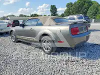 2005 Ford MUSTANG фото