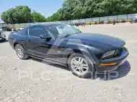 2005 Ford MUSTANG photo