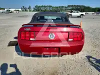 2005 Ford MUSTANG фото