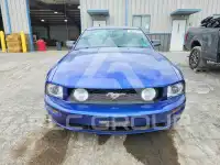 2005 Ford MUSTANG фото