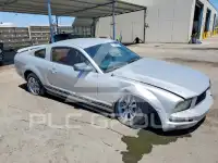 2005 Ford MUSTANG photo