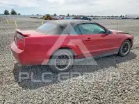 2005 Ford MUSTANG photo