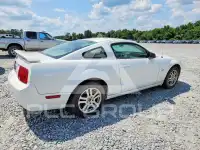 2005 Ford MUSTANG photo