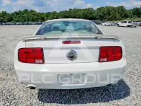 2005 Ford MUSTANG photo