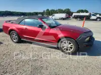 2005 Ford MUSTANG фото