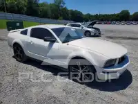 2005 Ford MUSTANG фото