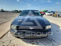 2005 Ford MUSTANG фото