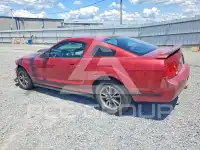 2005 Ford MUSTANG photo