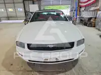 2005 Ford MUSTANG фото
