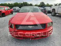2005 Ford MUSTANG photo