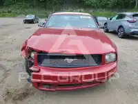 2005 Ford MUSTANG фото