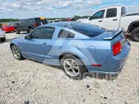 2005 Ford MUSTANG фото