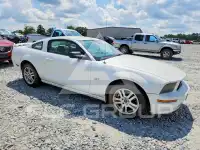 2005 Ford MUSTANG photo