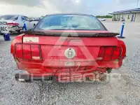 2005 Ford MUSTANG photo