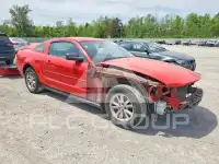 2005 Ford MUSTANG photo