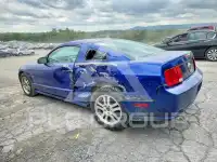 2005 Ford MUSTANG фото