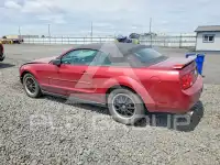 2005 Ford MUSTANG photo