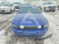 2005 Ford MUSTANG фото
