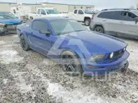 2005 Ford MUSTANG фото