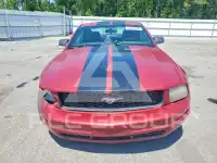 2005 Ford MUSTANG photo