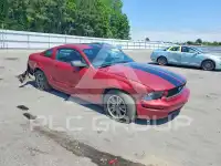 2005 Ford MUSTANG photo