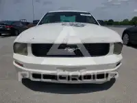 2005 Ford MUSTANG фото