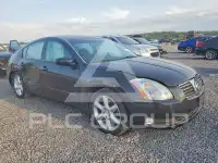 2006 Nissan MAXIMA photo
