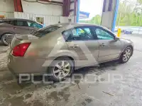 2006 Nissan MAXIMA фото