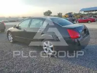 2006 Nissan MAXIMA photo