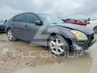 2006 Nissan MAXIMA фото
