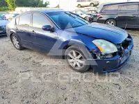 2006 Nissan MAXIMA photo