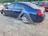 2006 Nissan MAXIMA photo