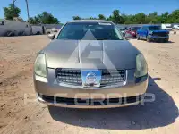 2006 Nissan MAXIMA фото