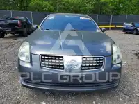 2006 Nissan MAXIMA photo