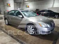 2006 Nissan MAXIMA фото