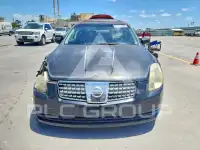 2006 Nissan MAXIMA photo