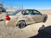 2006 Chevrolet Malibu фото