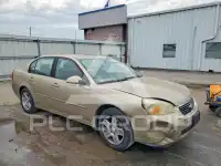 2006 Chevrolet Malibu фото