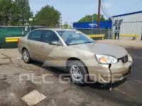 2006 Chevrolet Malibu фото