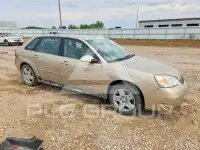 2006 Chevrolet Malibu photo