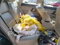 2006 Subaru Legacy фото
