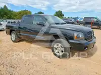 2006 Dodge DAKOTA photo
