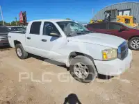 2006 Dodge DAKOTA photo