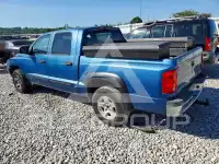 2006 Dodge DAKOTA фото
