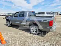 2006 Dodge DAKOTA фото